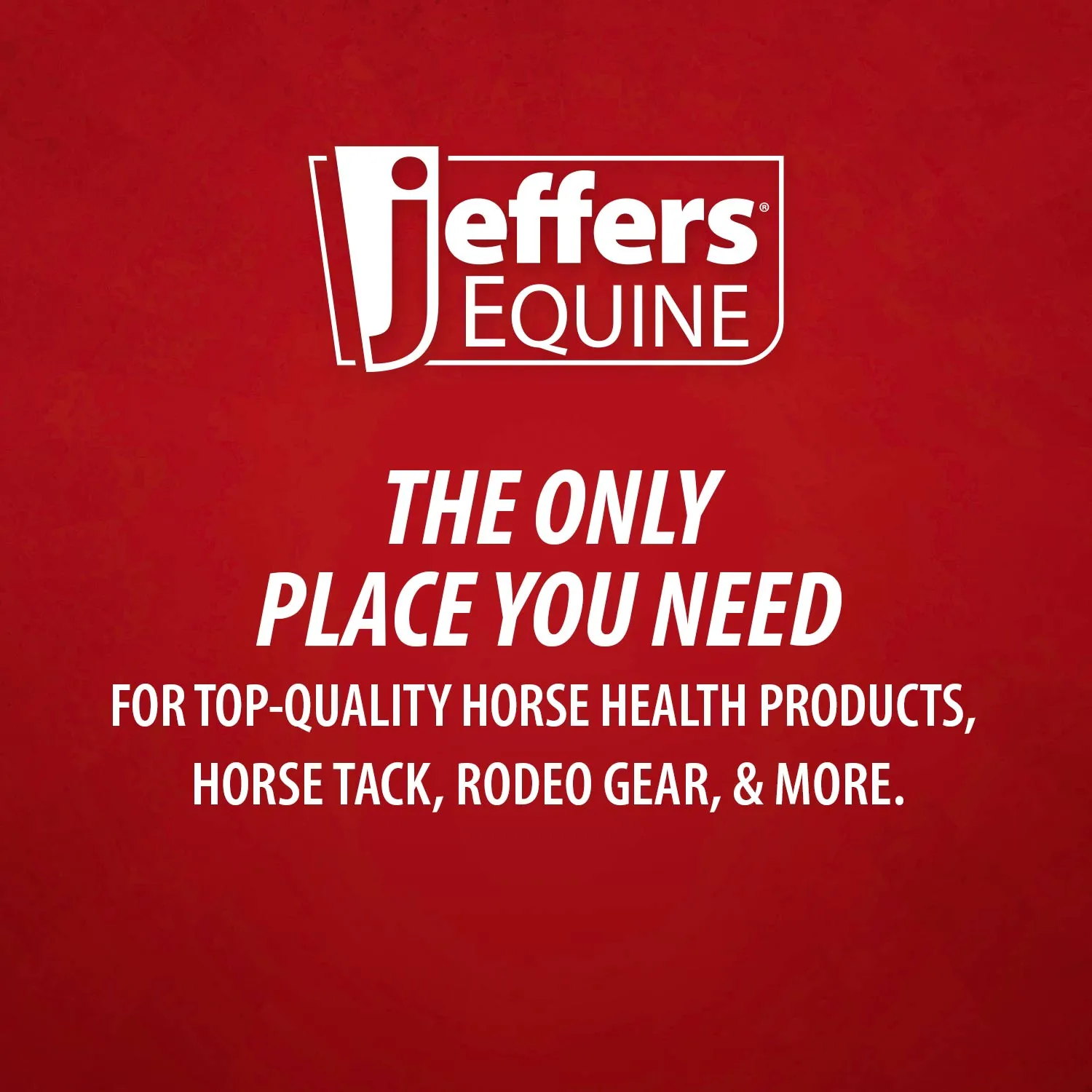 Jeffers Equine No-Rinse Waterless Horse Shampoo